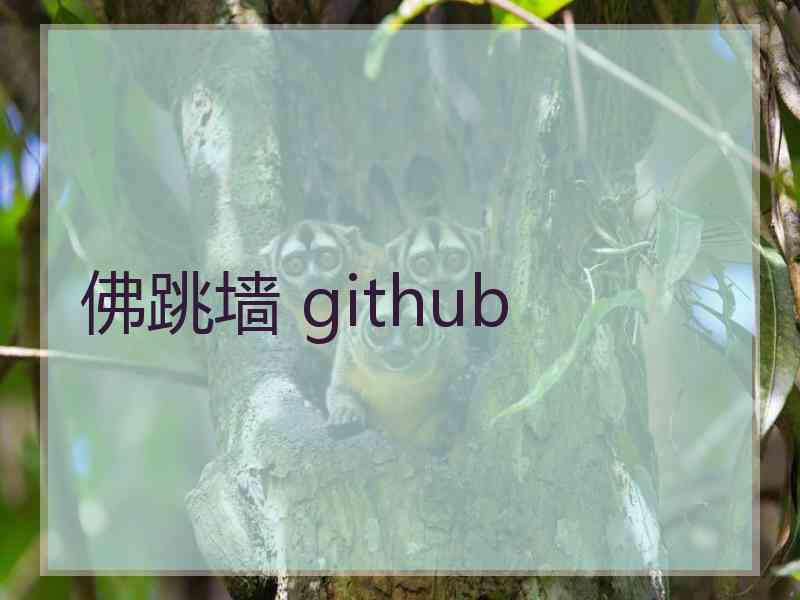 佛跳墙 github