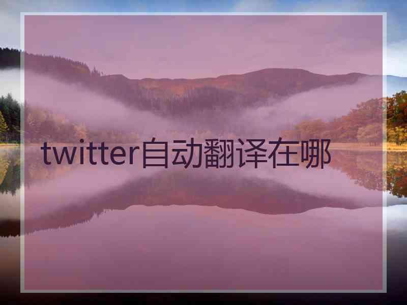 twitter自动翻译在哪