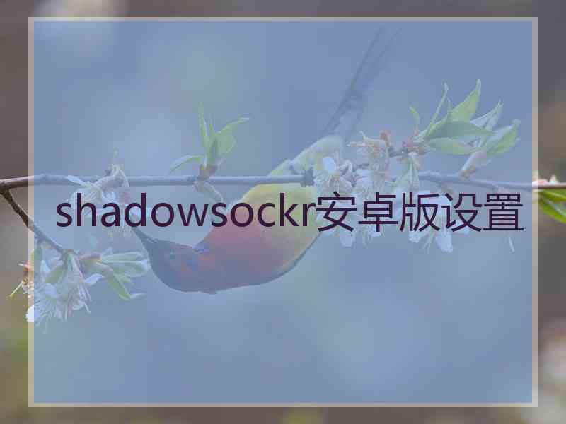 shadowsockr安卓版设置