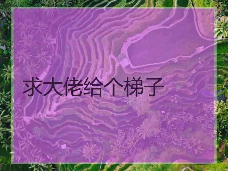 求大佬给个梯子