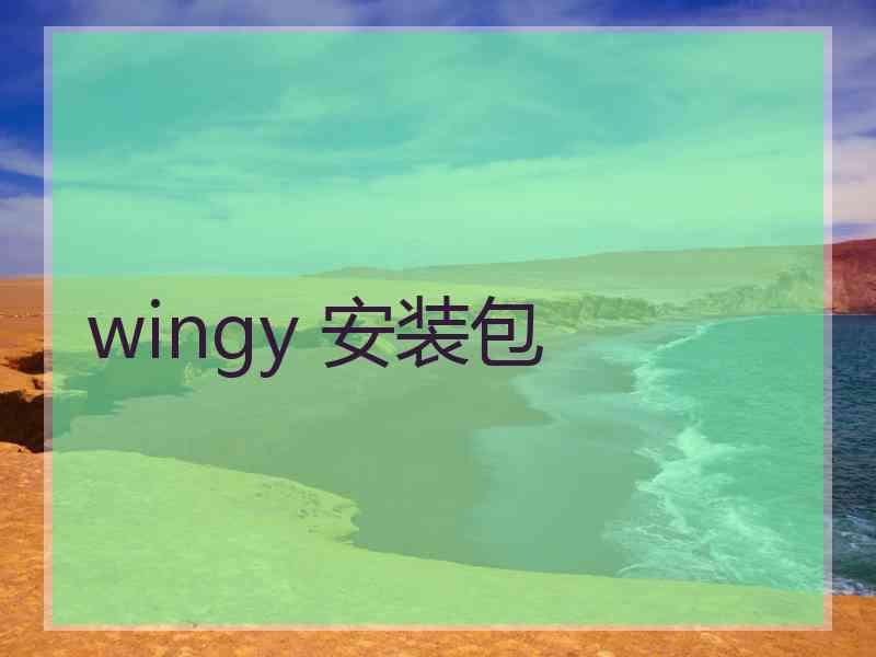 wingy 安装包