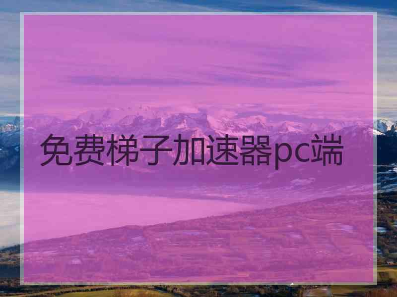 免费梯子加速器pc端