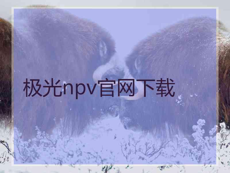 极光npv官网下载