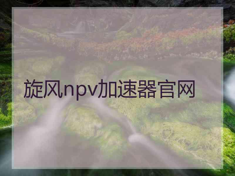 旋风npv加速器官网