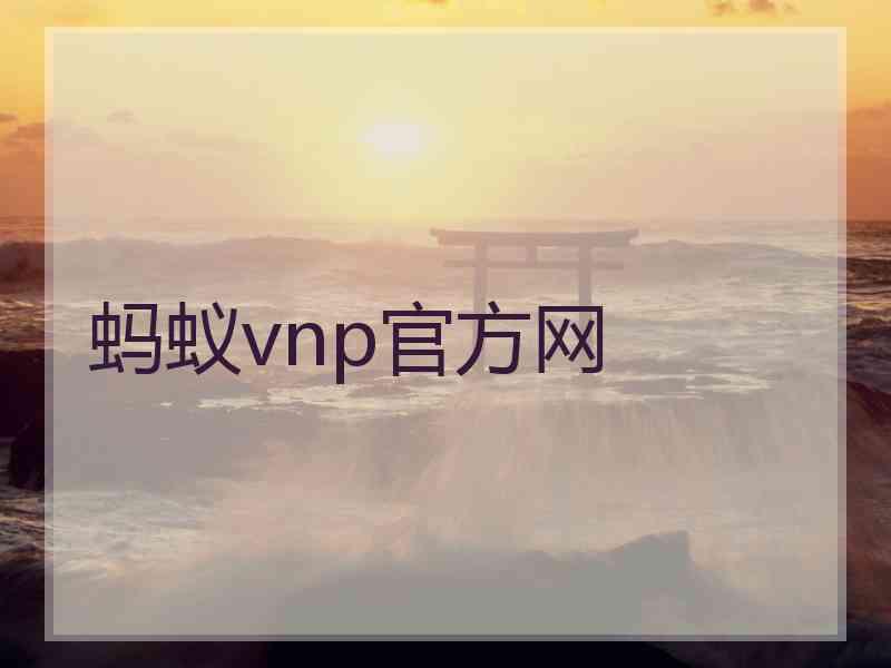 蚂蚁vnp官方网