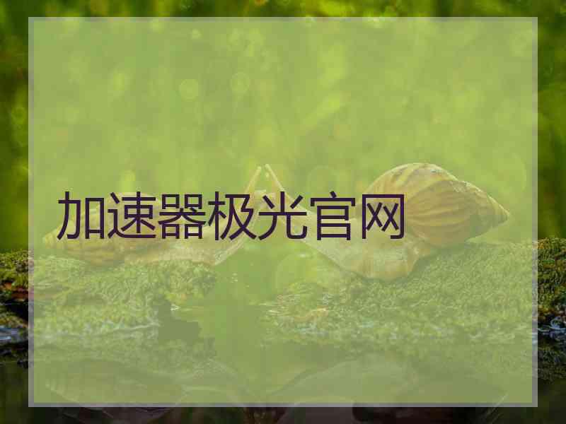 加速器极光官网