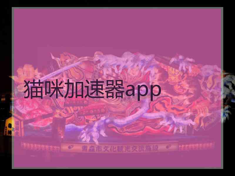 猫咪加速器app