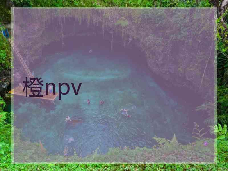 橙npv