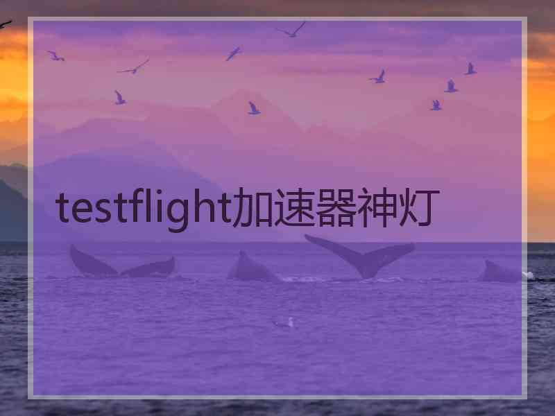 testflight加速器神灯