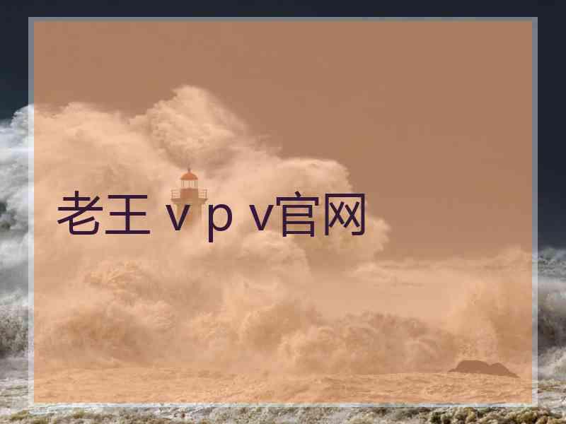 老王 v p v官网