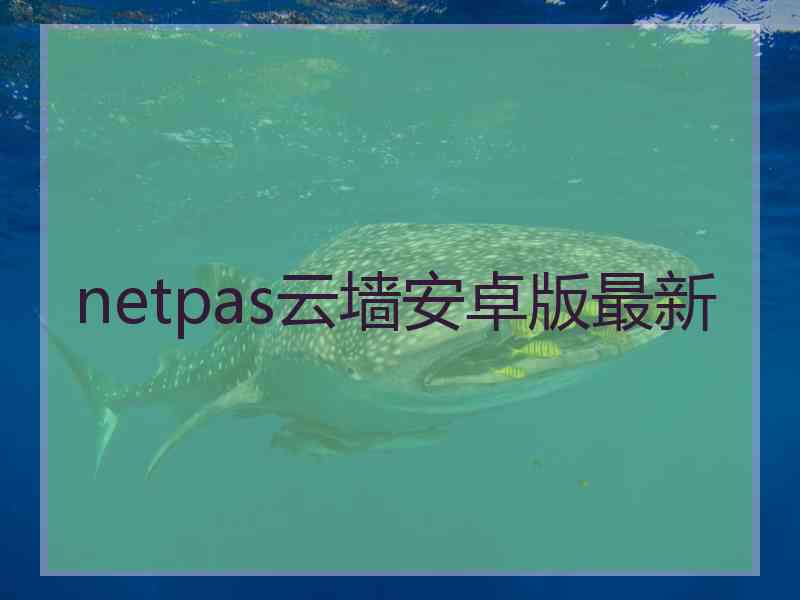 netpas云墙安卓版最新