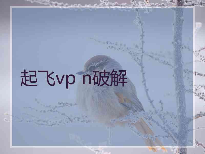 起飞vp n破解