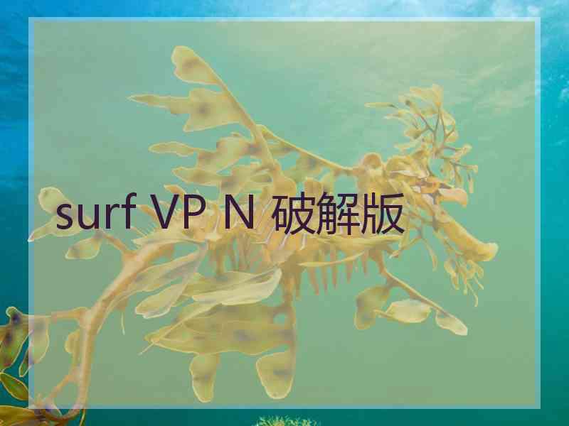 surf VP N 破解版