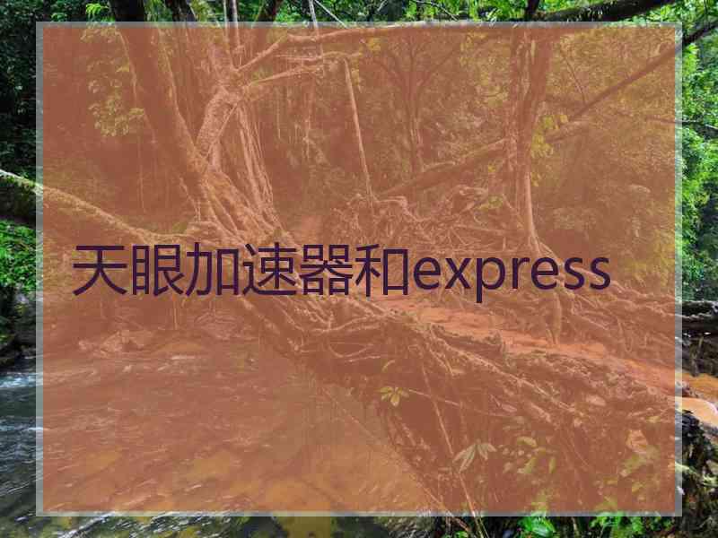 天眼加速器和express