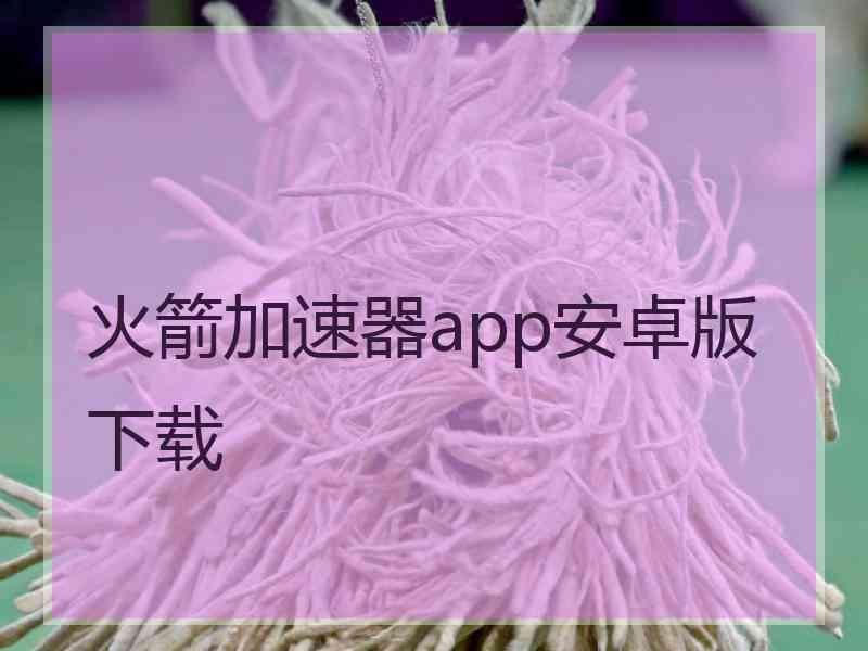 火箭加速器app安卓版下载