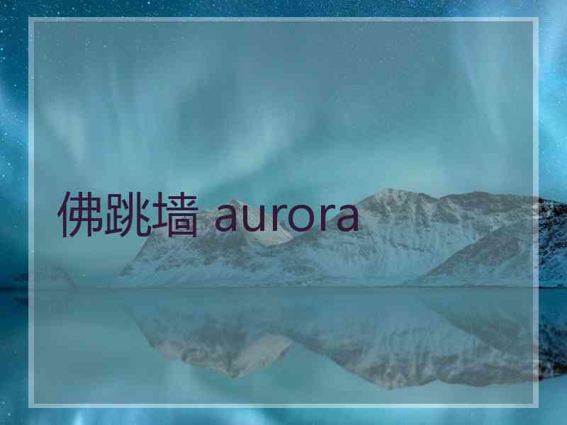 佛跳墙 aurora