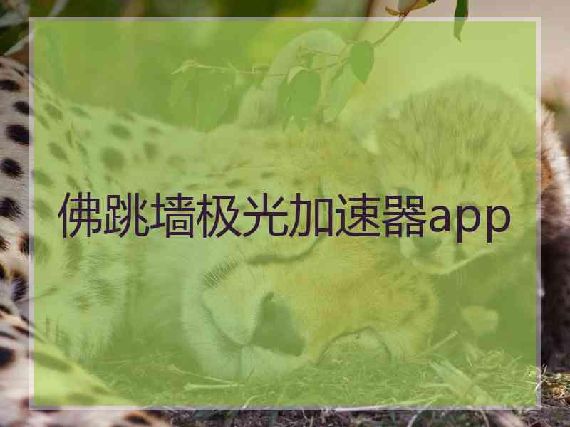 佛跳墙极光加速器app