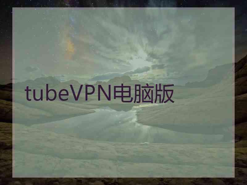 tubeVPN电脑版