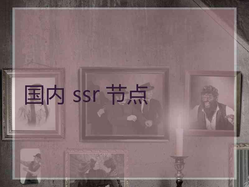 国内 ssr 节点