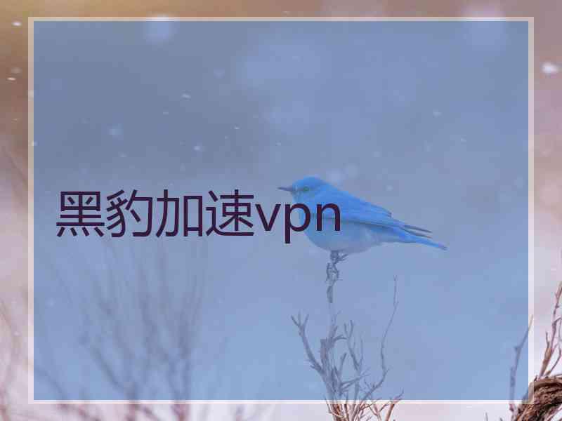 黑豹加速vpn