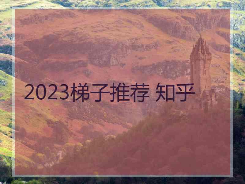 2023梯子推荐 知乎