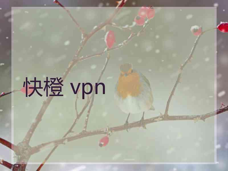 快橙 vpn