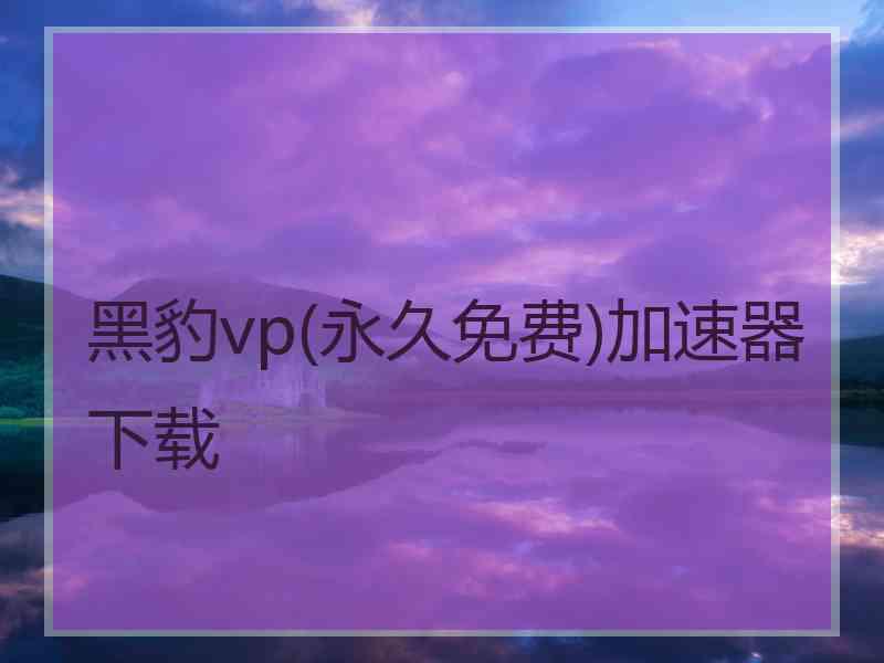 黑豹vp(永久免费)加速器下载