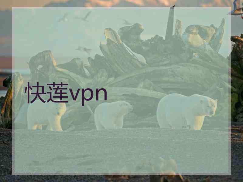 快莲vpn