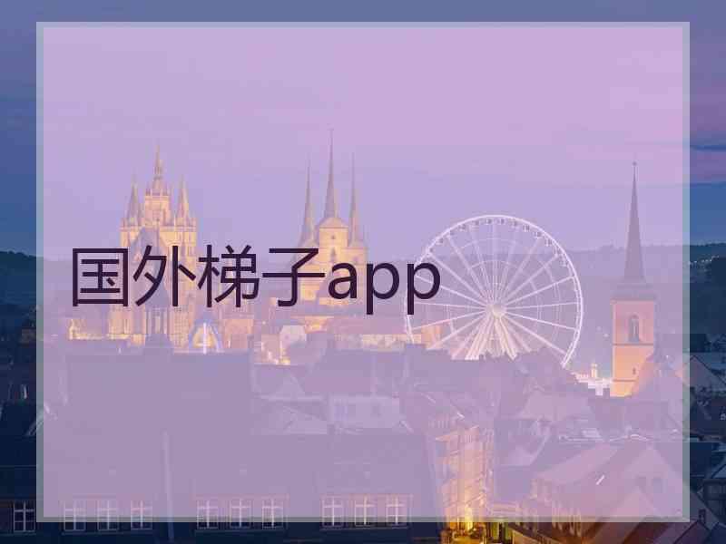 国外梯子app