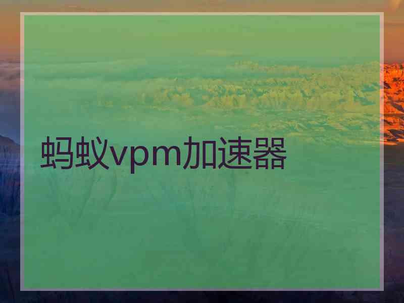 蚂蚁vpm加速器