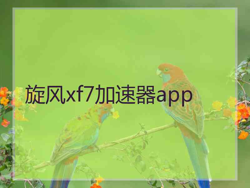 旋风xf7加速器app