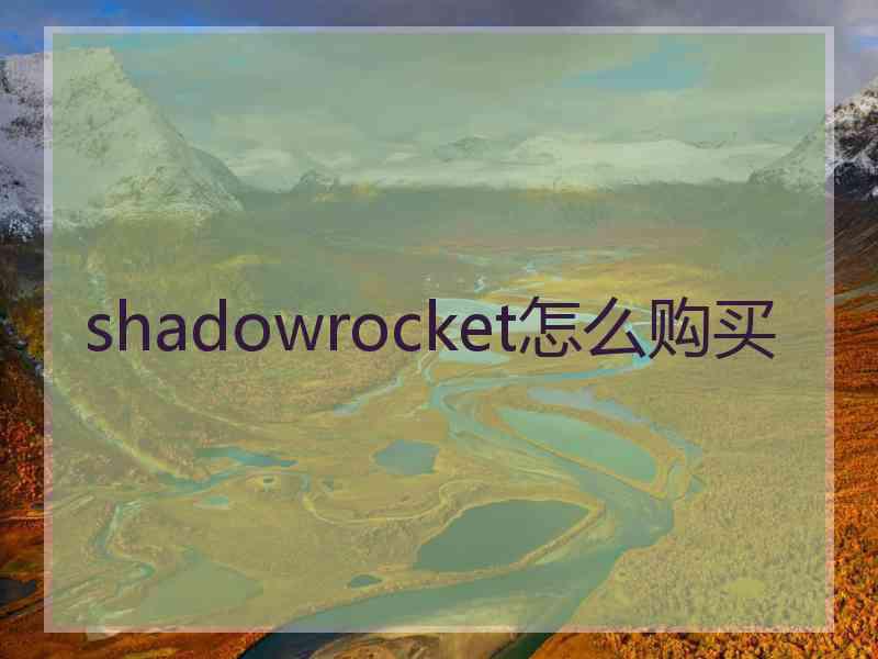 shadowrocket怎么购买