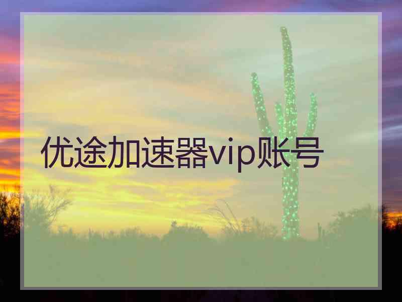 优途加速器vip账号