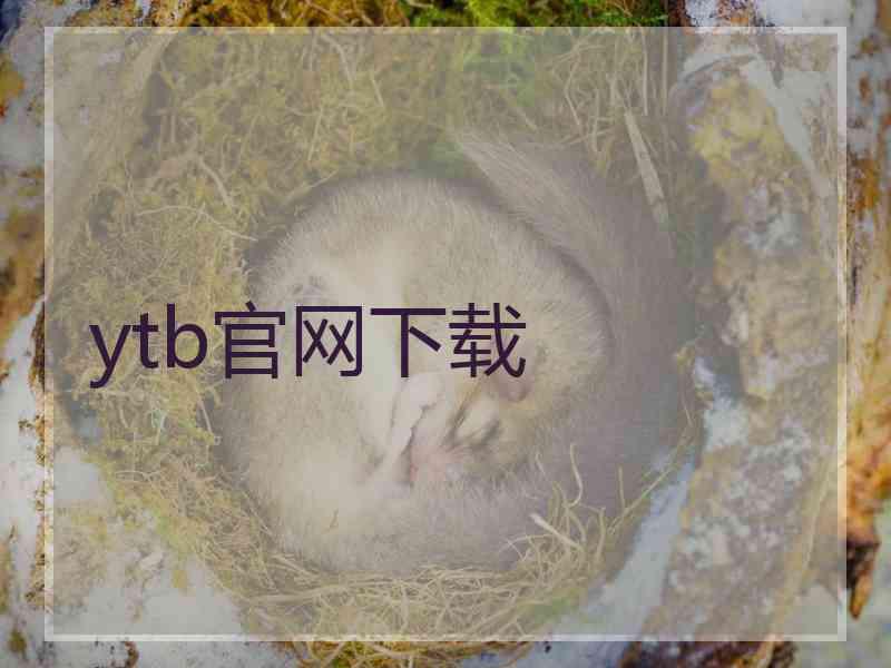 ytb官网下载