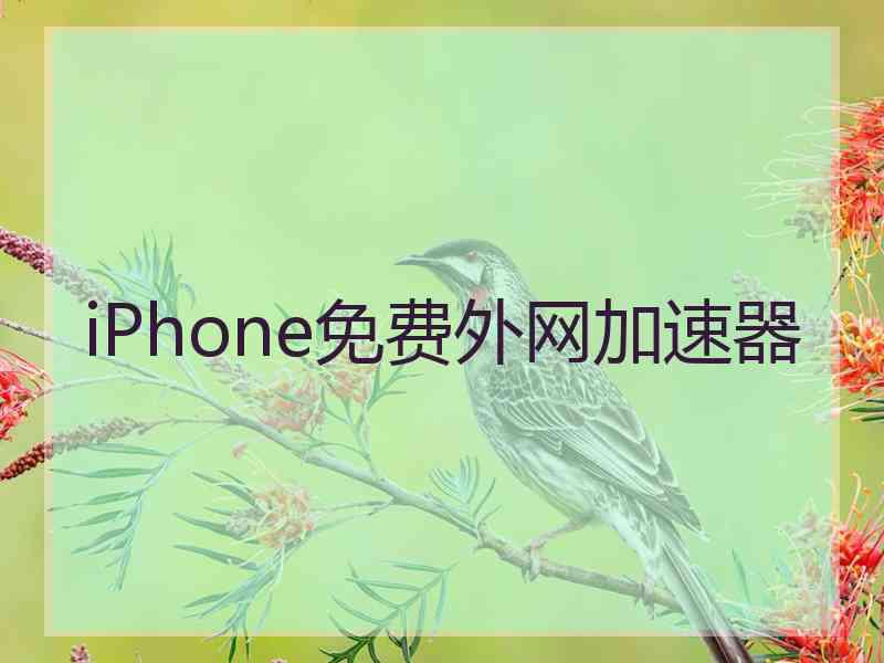 iPhone免费外网加速器