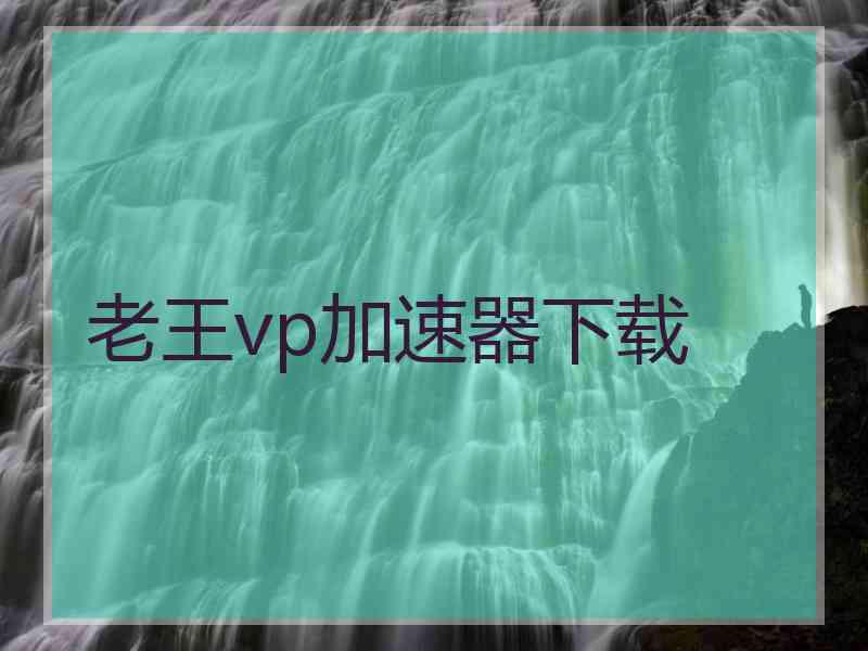 老王vp加速器下载