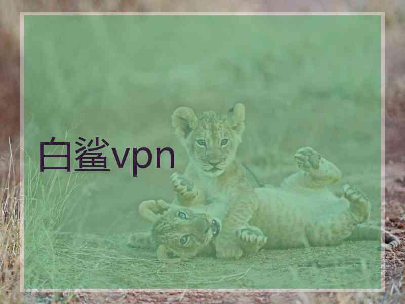 白鲨vpn