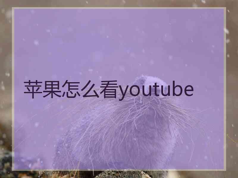 苹果怎么看youtube