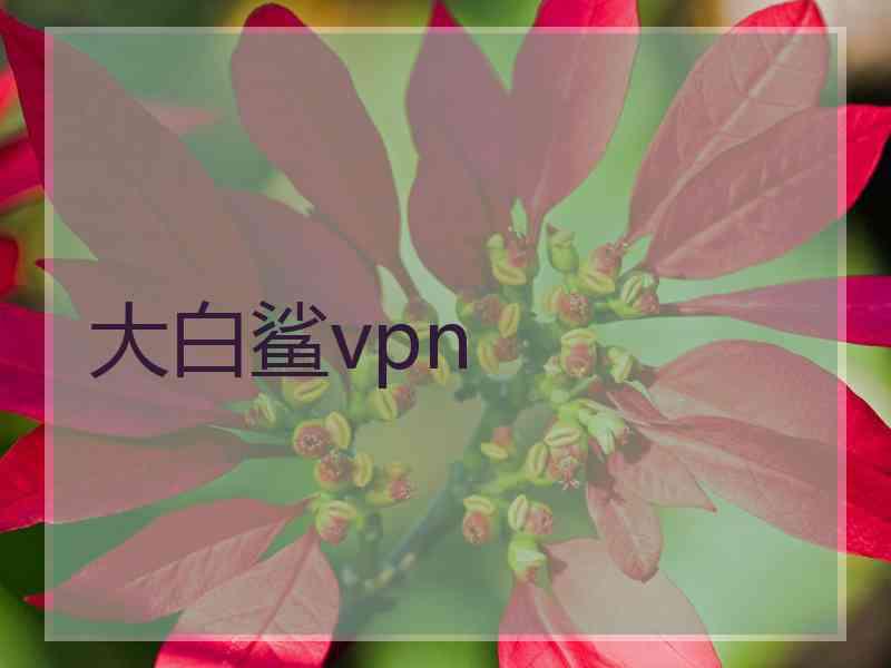 大白鲨vpn