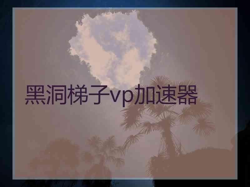 黑洞梯子vp加速器