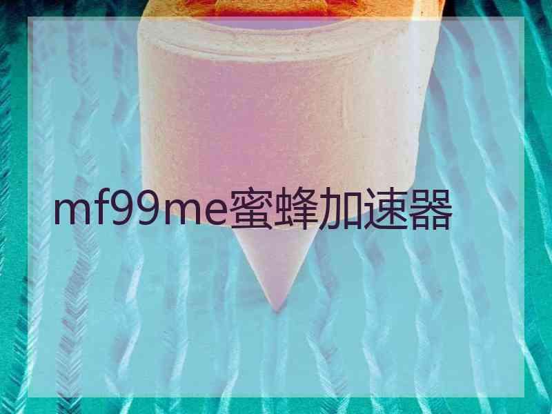 mf99me蜜蜂加速器