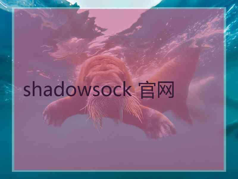 shadowsock 官网