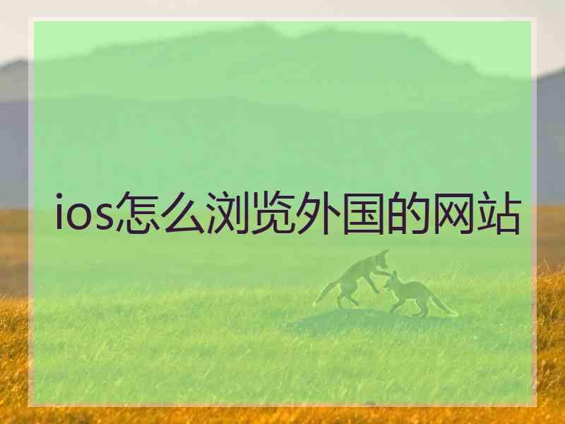 ios怎么浏览外国的网站