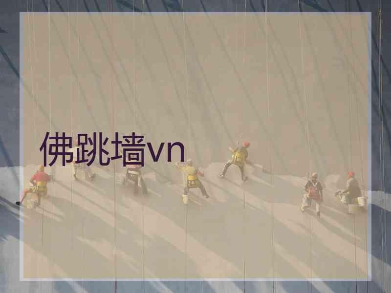 佛跳墙vn