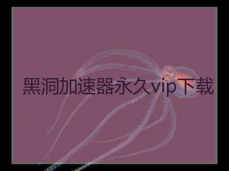 黑洞加速器永久vip下载