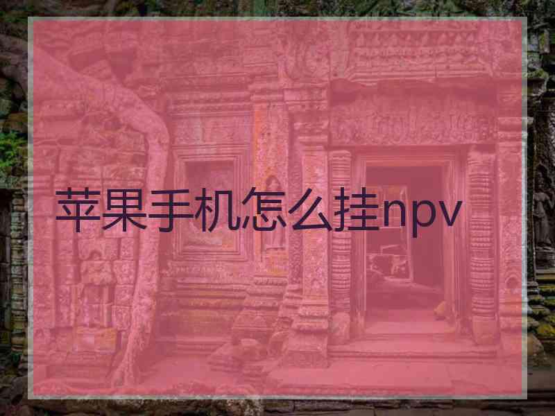 苹果手机怎么挂npv