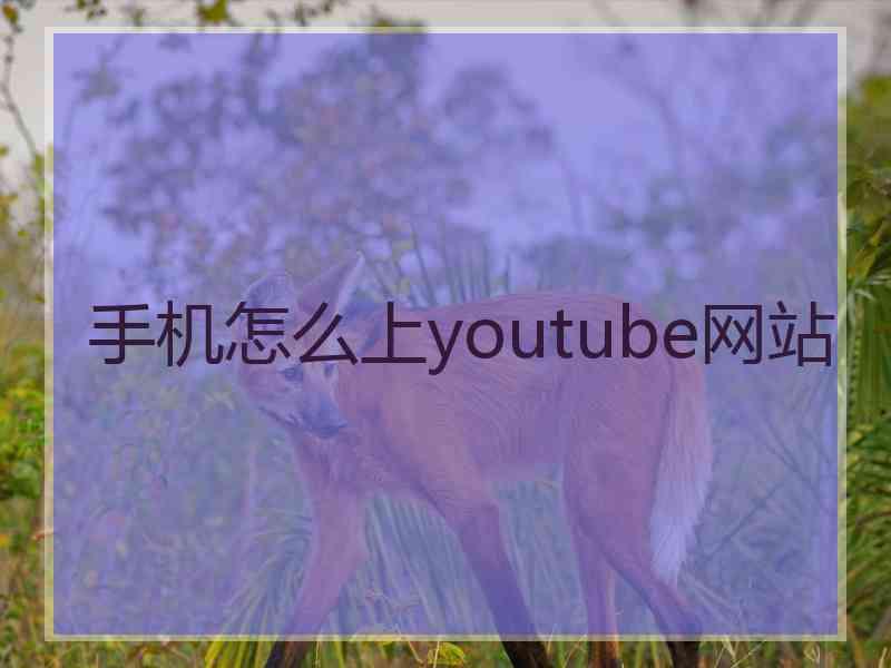 手机怎么上youtube网站