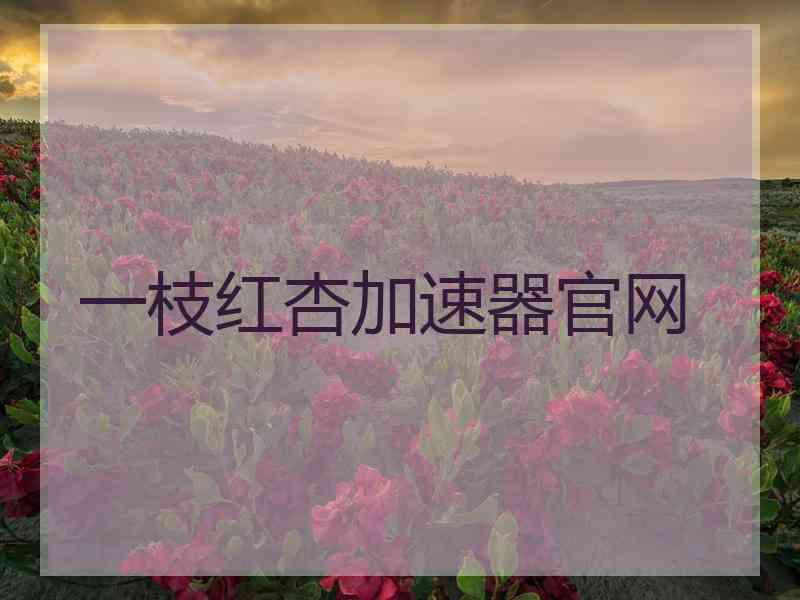 一枝红杏加速器官网