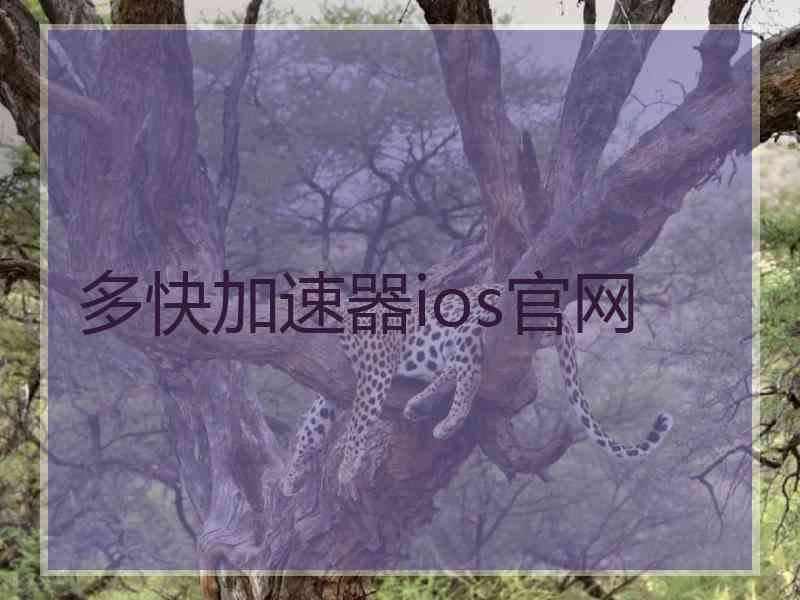 多快加速器ios官网