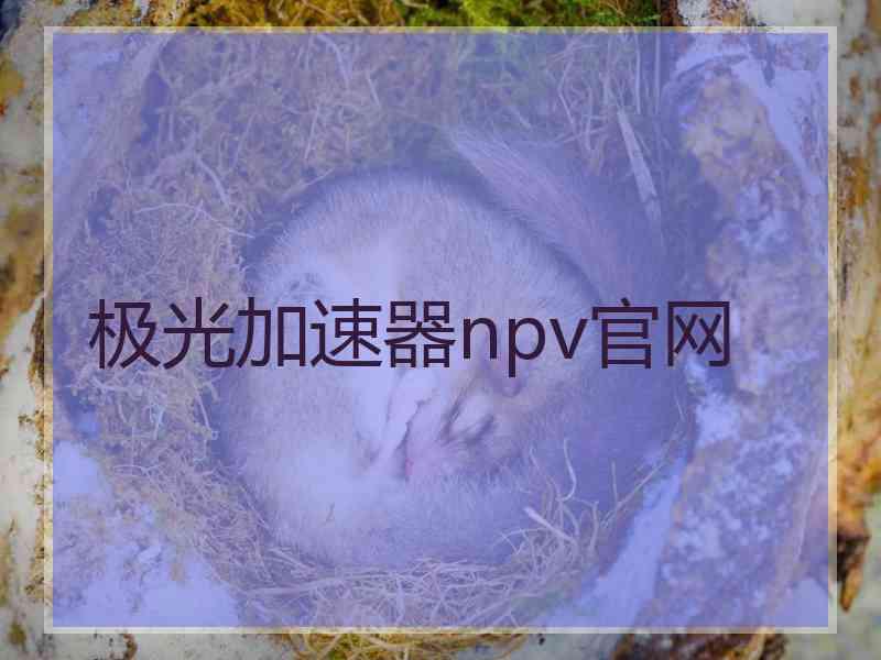 极光加速器npv官网